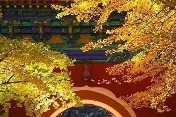 微信图片_20181017094526.jpg