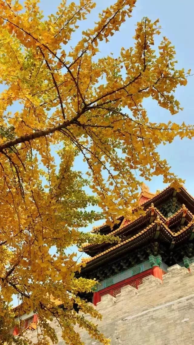 微信图片_20181017094459.jpg
